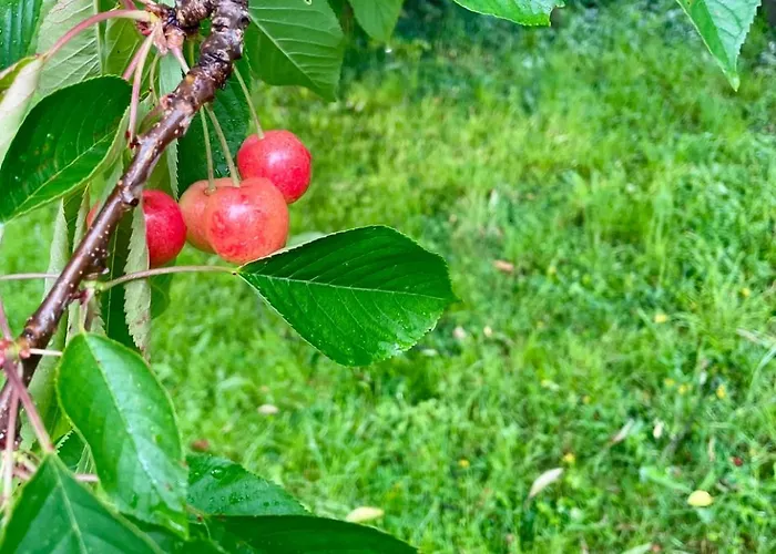 Grimm Апартаменты